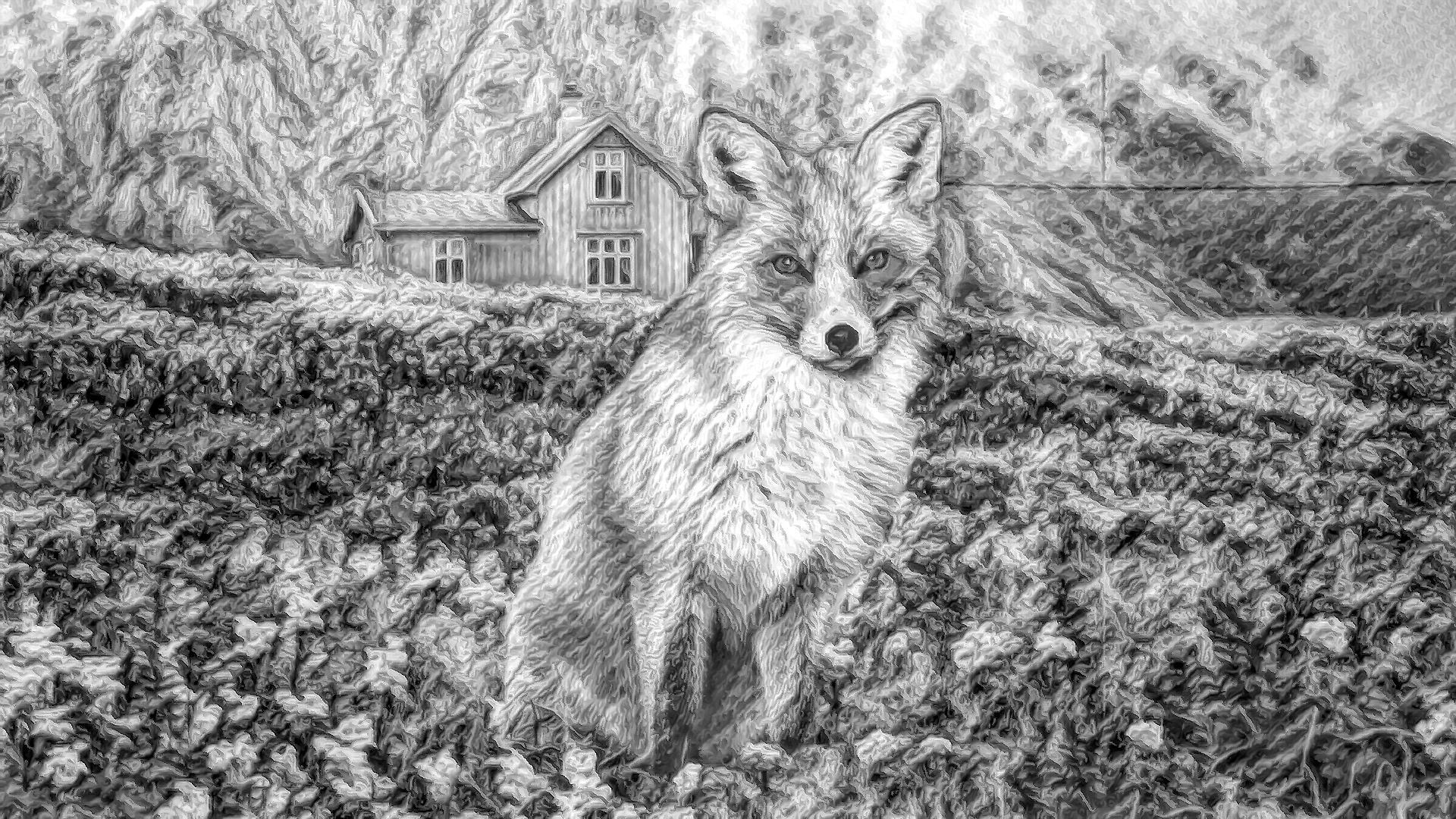 無料壁紙 背景画像素材 美しく綺麗な自然と森林と狐のイラスト Free Illustlation くりえいてぃぶ