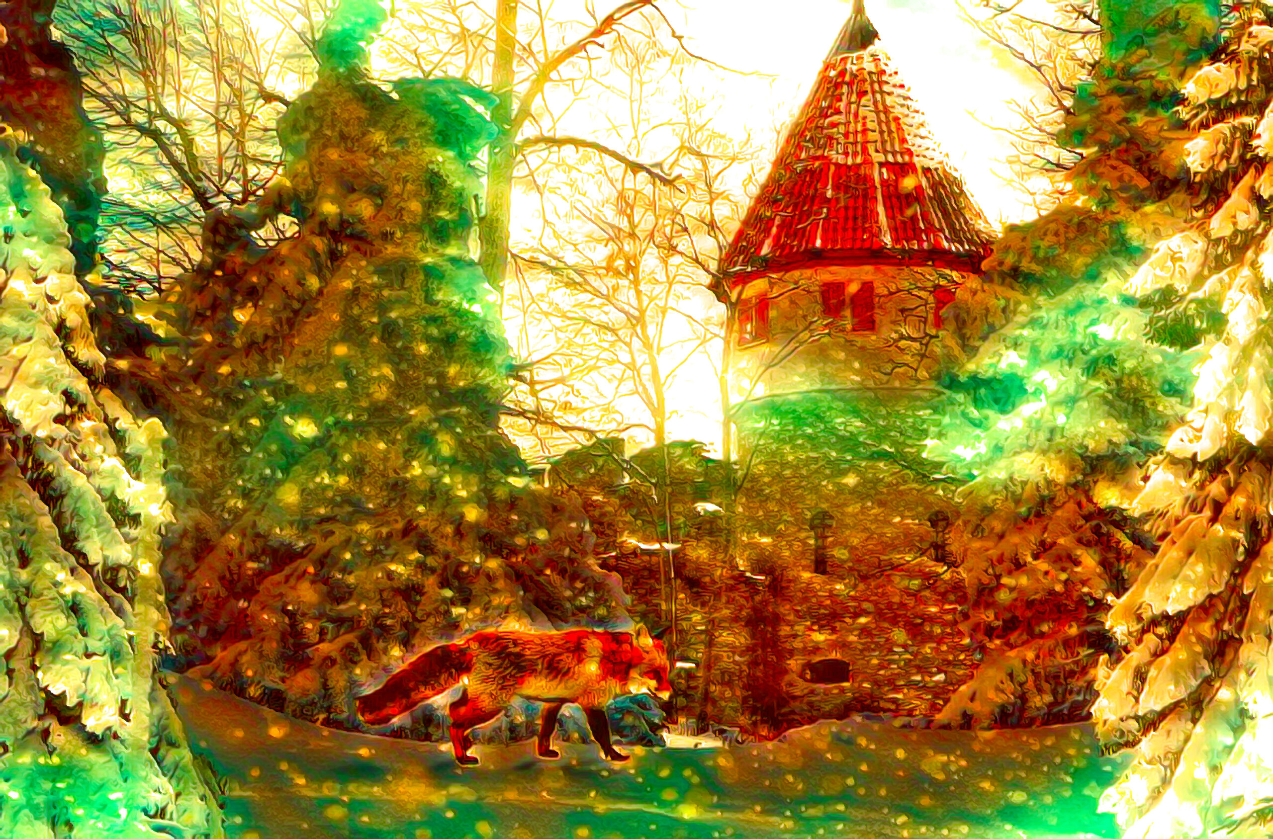 きれいな朝日の中雪道を歩く狐：シャープ