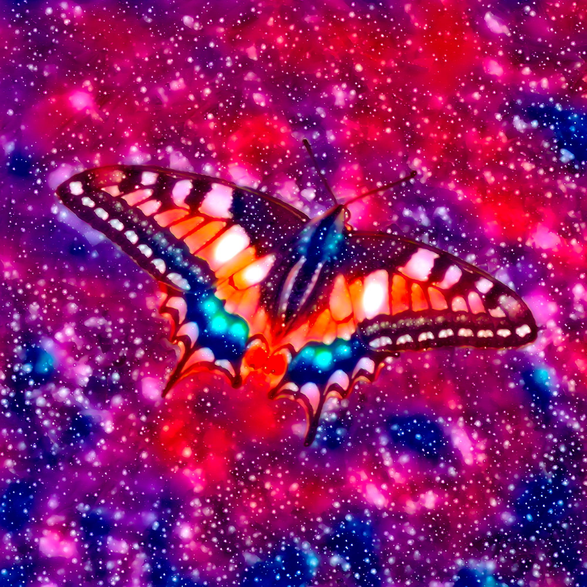 スペース蝶々とキラキラと輝く宇宙