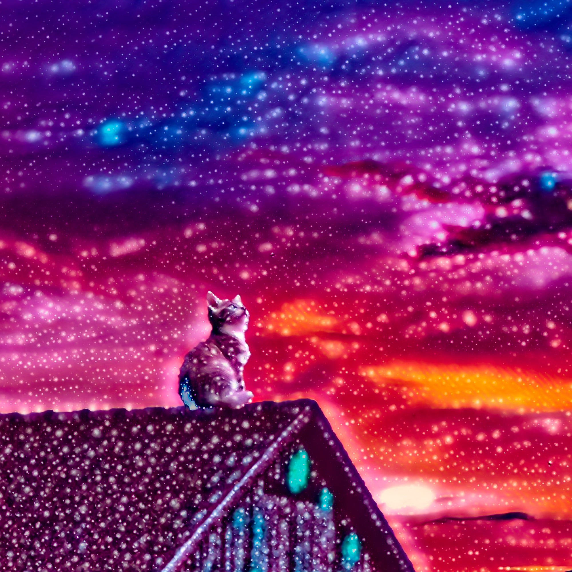 無料イラスト 背景画像素材 座る猫 美しく幻想的な星空と夕日 Free Illustlation くりえいてぃぶ