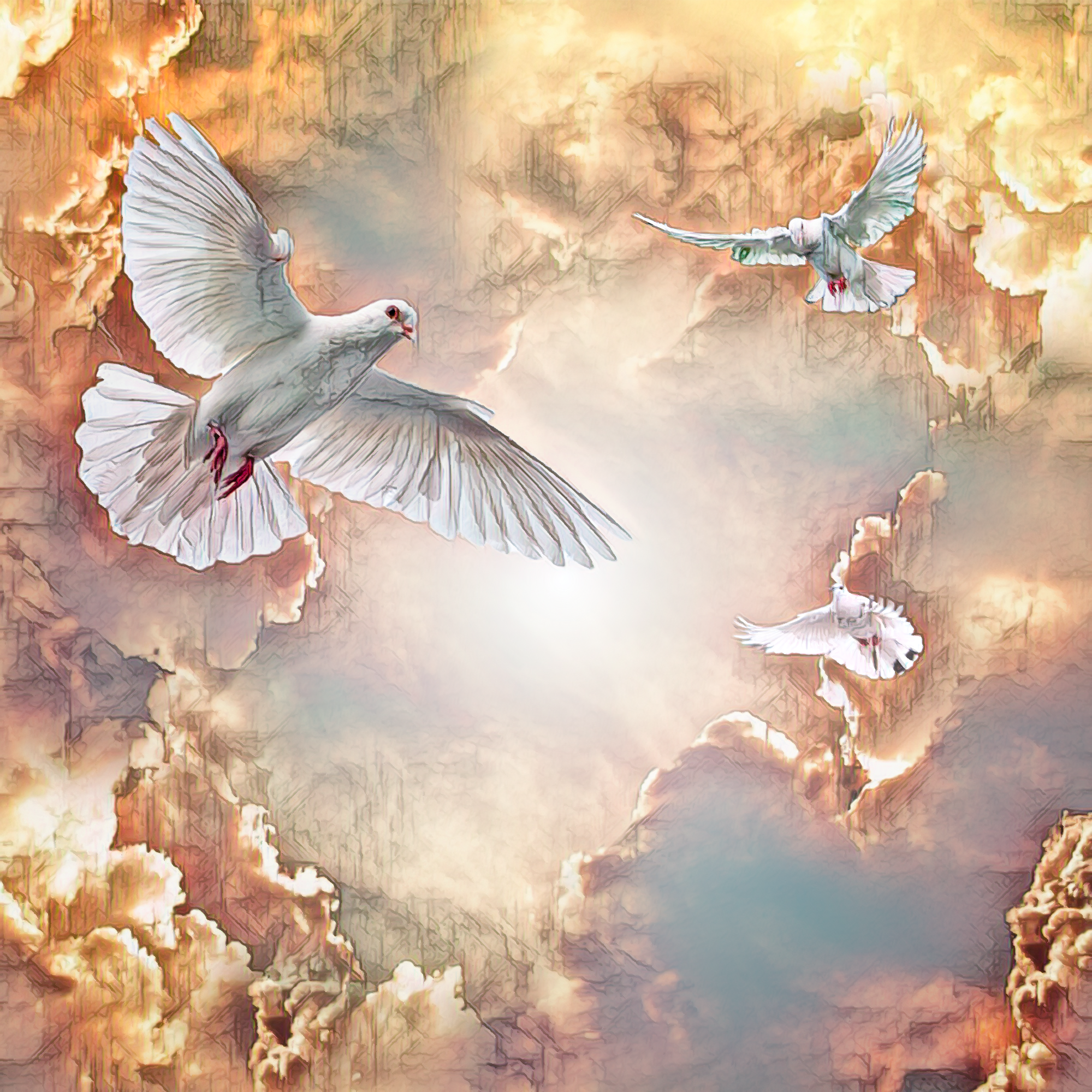 天国の光と空から天使のように飛ぶ鳩