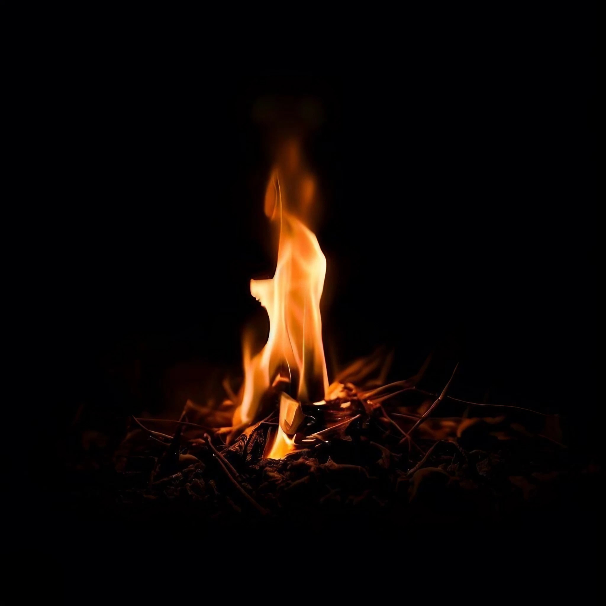 小さな焚火＆かっこよく燃える焚火の無料写真素材