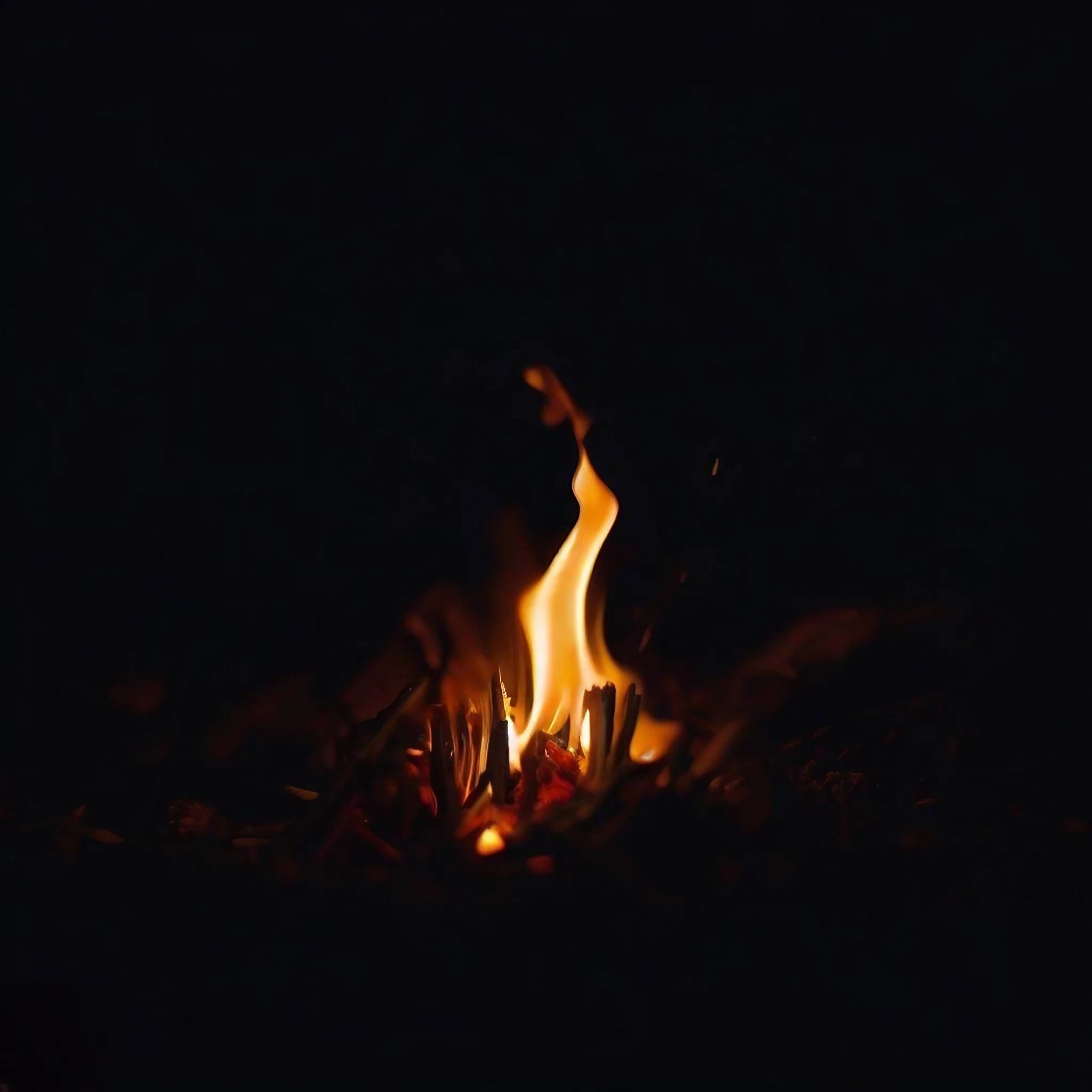 小さな篝火＆焚火＆おしゃれな燃える木の無料写真素材