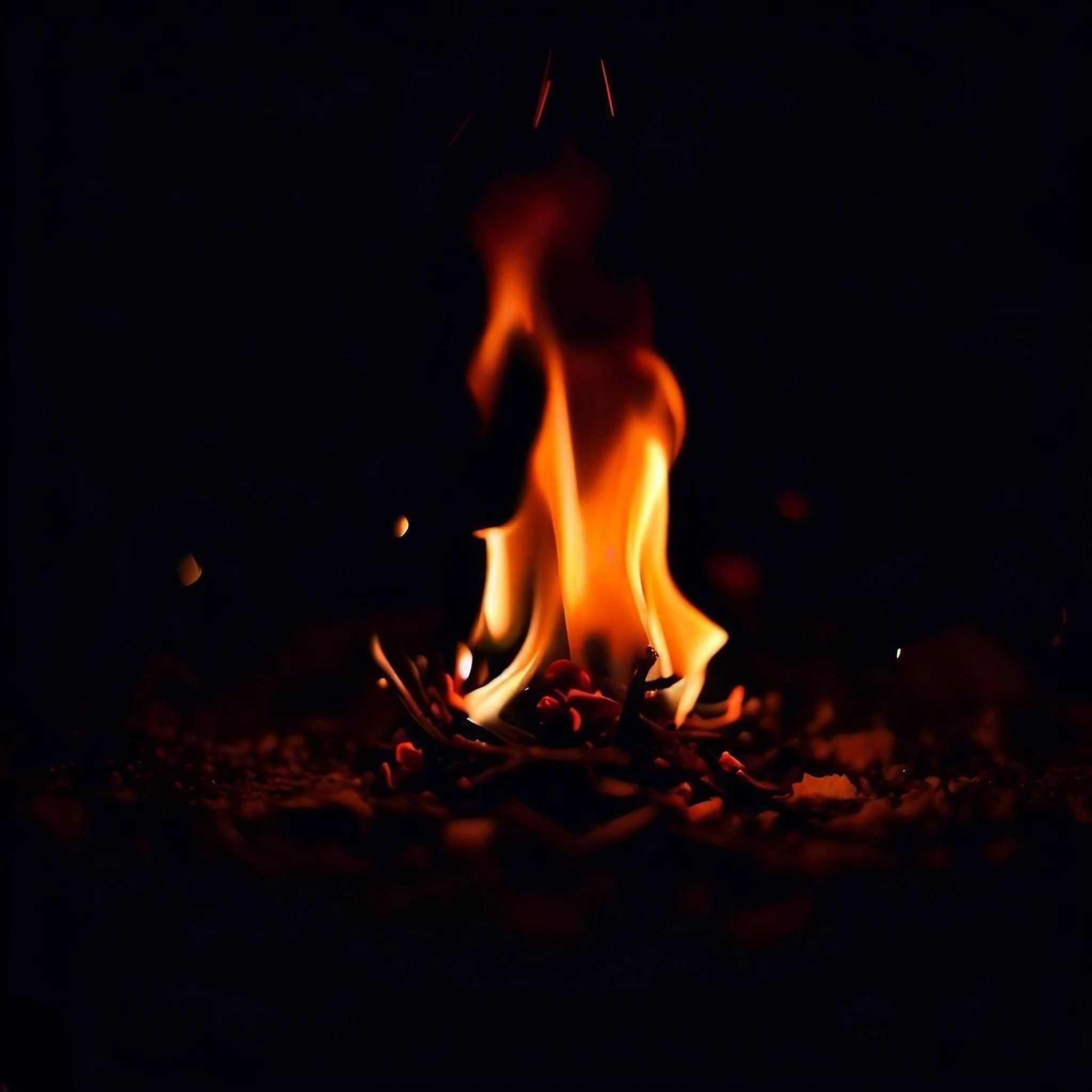 小さな篝火＆焚火＆かっこいい夜の暗闇の中の炎の写真素材