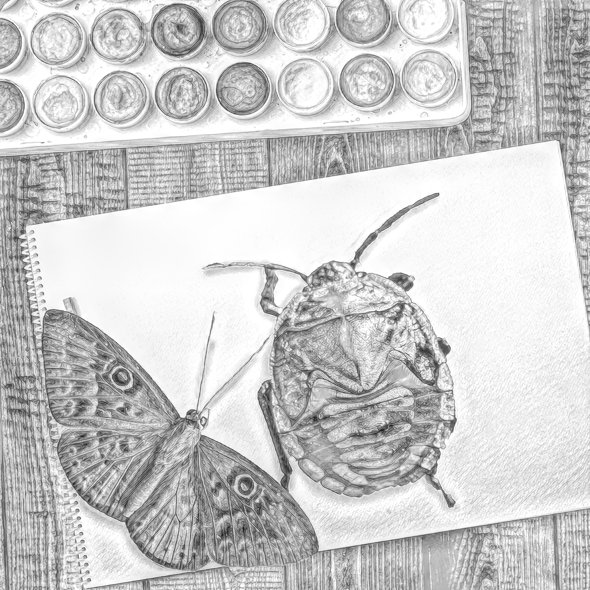 蝶と絵具とノート＆おしゃれな机の上：モノクロ