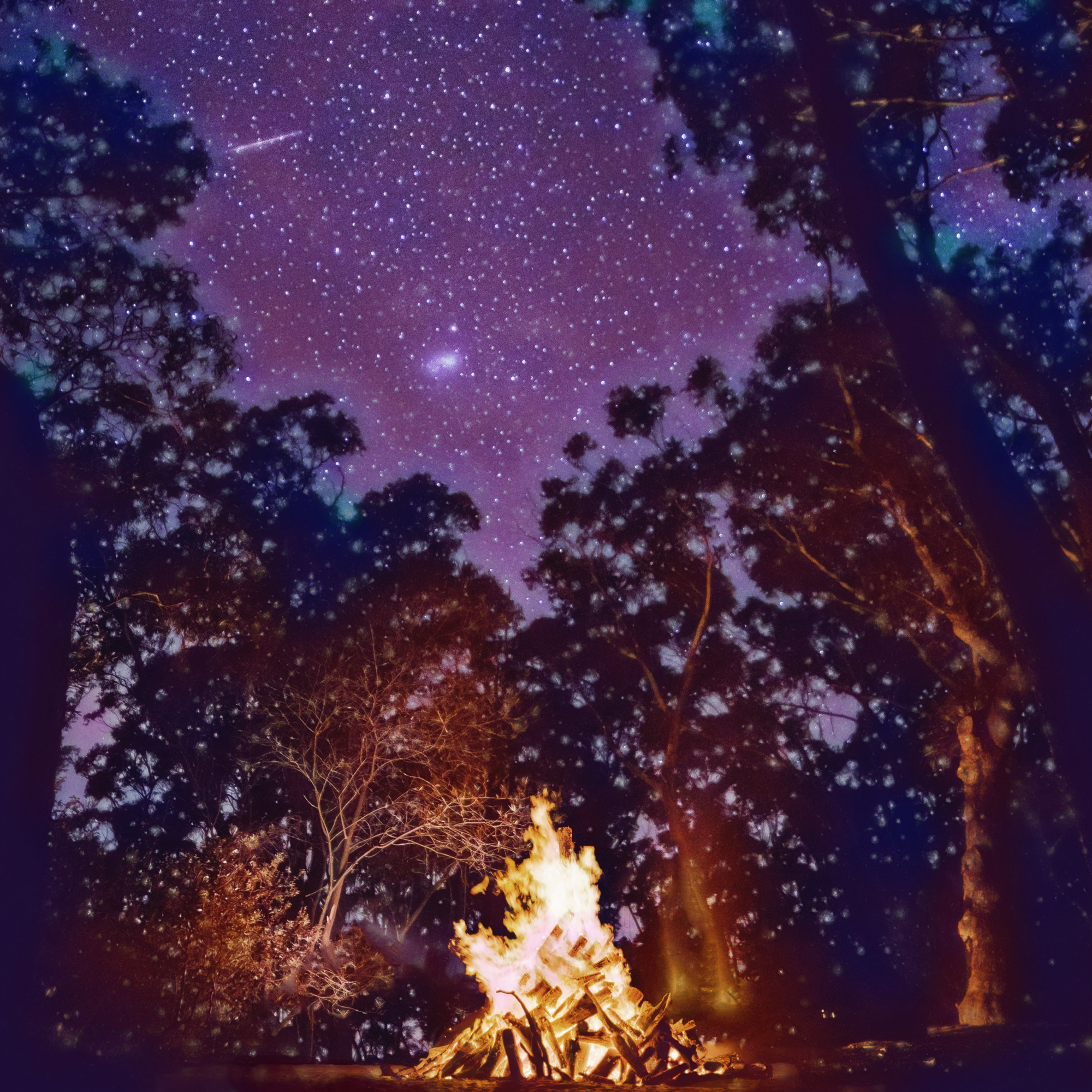 綺麗な夜空と燃える炎のキャンプファイヤーと輝く星々：グラデーション