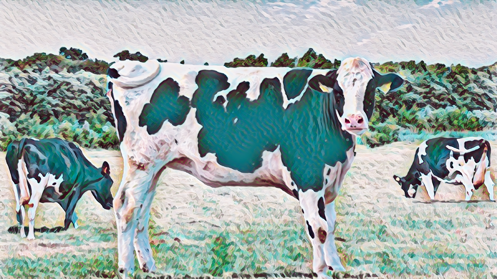 牧場の牛とカラフルできれいな夕日のイラスト
